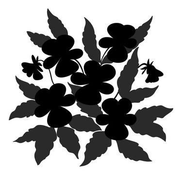 花紫羅蘭輪廓