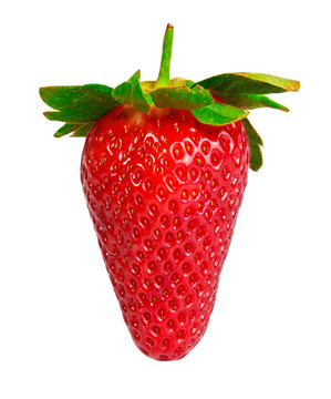 整個單一新鮮Strawberry在白色背景