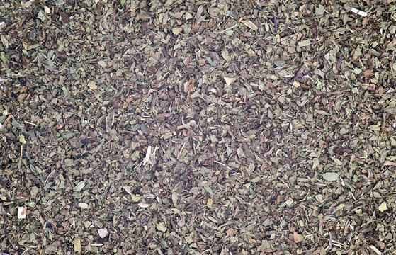 用作背景的切碎薄荷葉