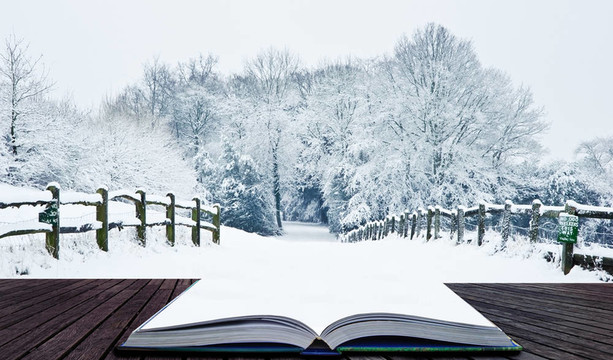 冬日仙境中的雪景書
