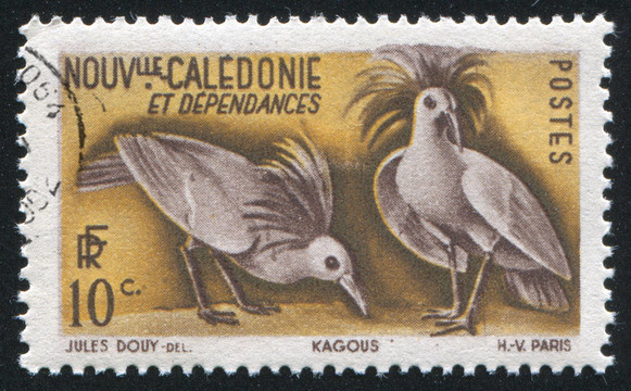 kagus