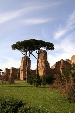 Terme di Caracalla（Caracalla浴場(chǎng)）在羅馬；意大利