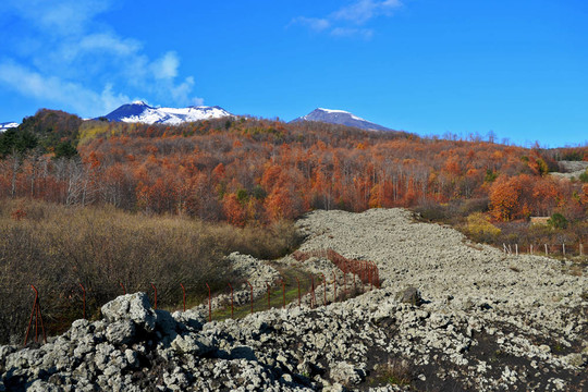 西西里島的埃特納火山的自然風(fēng)光；