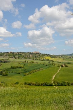 克里特島senesi