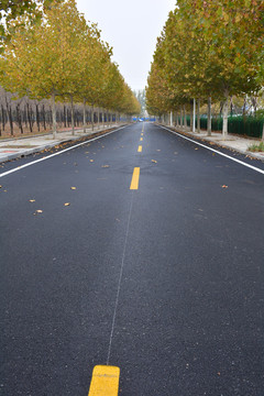 泊油路