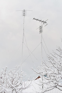 雪地天線