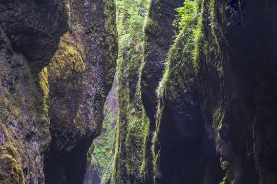 狹窄的綠河峽谷
