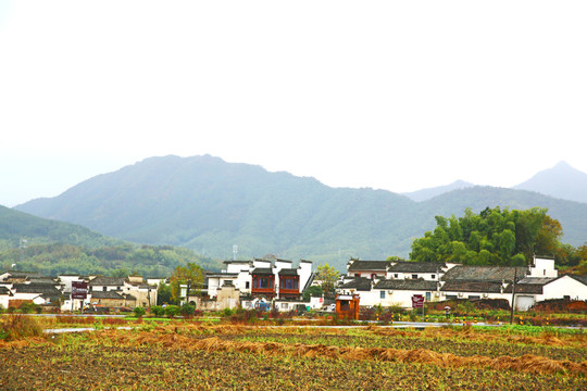 山村秋景