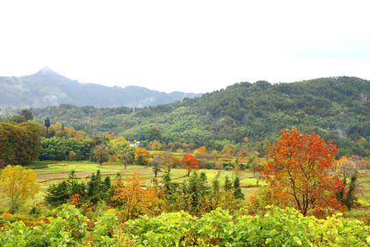 山區(qū)田野
