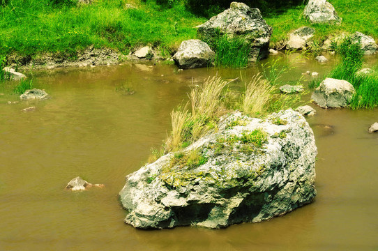 污水污染河道。