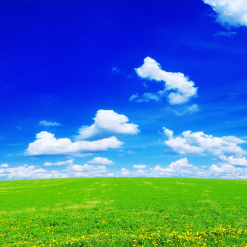 蒲公英田野和天空