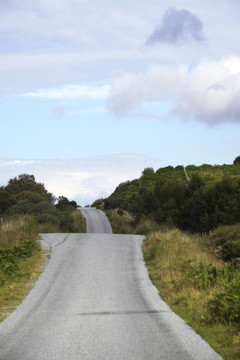 坎坷的道路