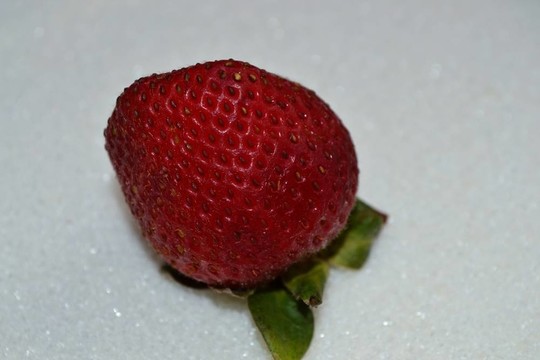 Strawberry對糖