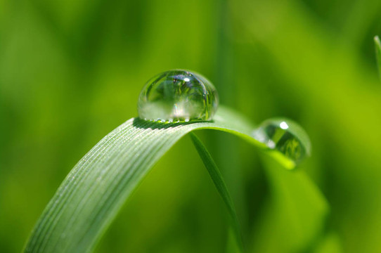 水滴