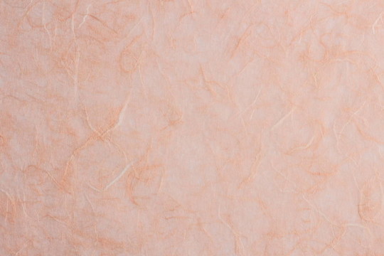 Washi（日本紙）