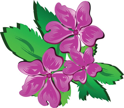手繪花