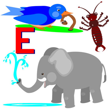 E蠼螋；早起的鳥兒；大象