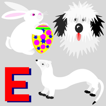E復(fù)活節(jié)兔子；貂皮；英語(yǔ)的狗