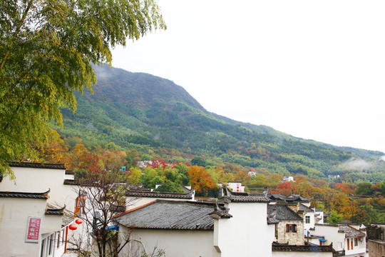 山村