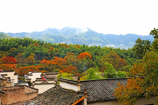 塔川山村民居
