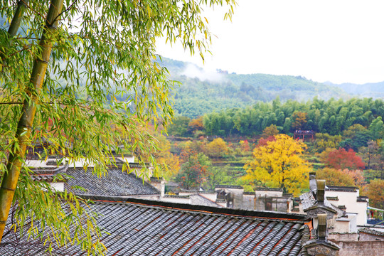 山村