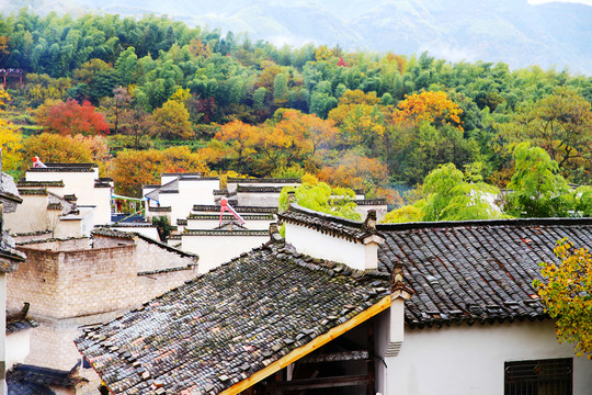 山村秋色徽派建筑