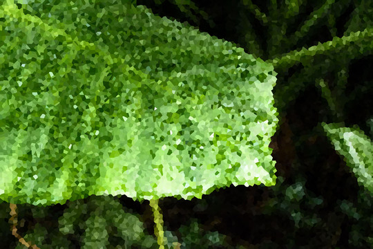 晶格化 樹葉 抽象格樹葉