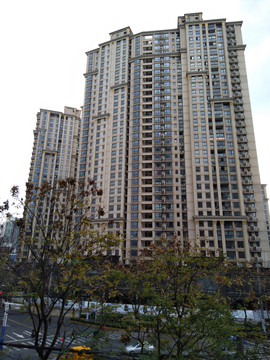 樹(shù)木高樓