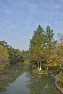 公園秋景