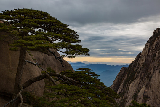 黃山