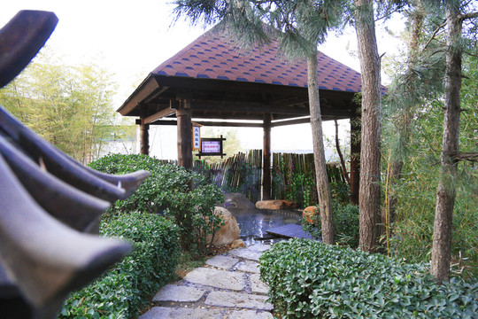 溫泉湯