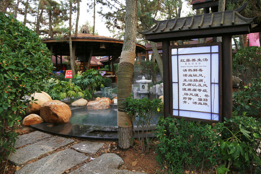 紅藤養(yǎng)生湯