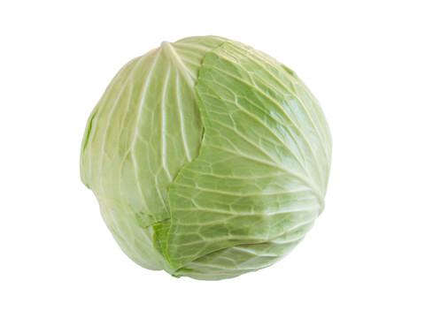 卷心菜