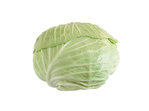 卷心菜