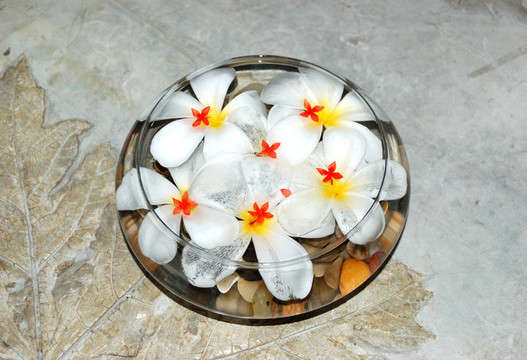 賈斯明鮮花SPA裝修；本托塔；斯里蘭卡