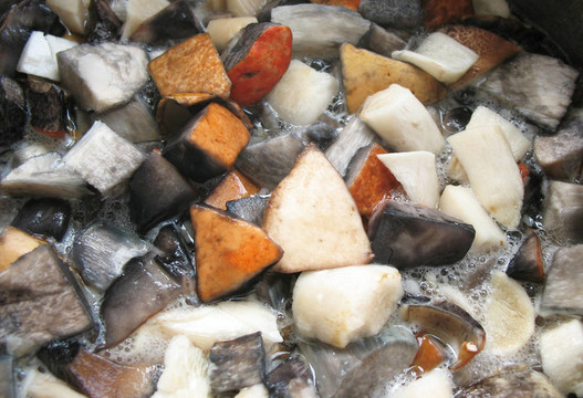 食用蘑菇