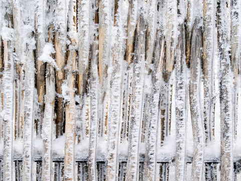 大雪的籬笆。