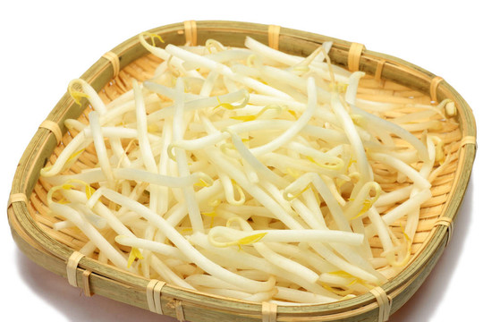 豆芽