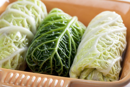 卷心菜的葉子