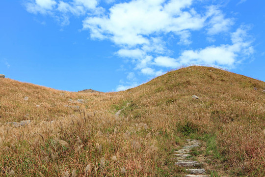 在山地景觀