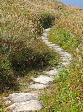 登山路線