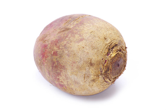 甜菜根