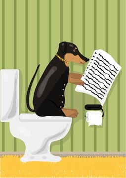 狗看新聞
