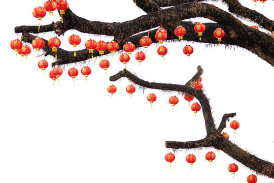 樹(shù)枝上的中國(guó)燈籠