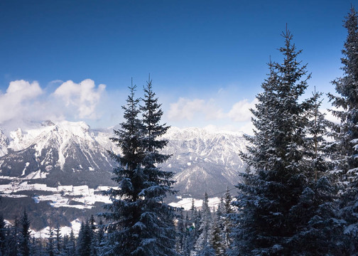 雪下山脈?；﹦俚厥├旅?。奧地利