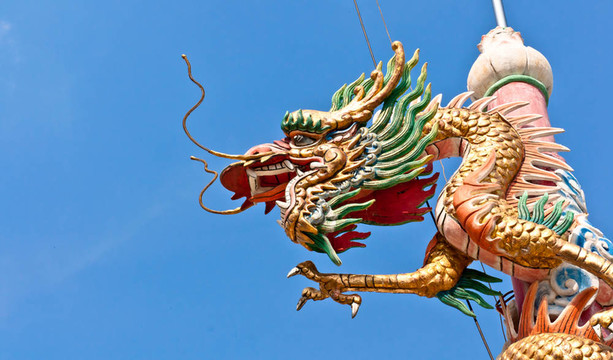 龍