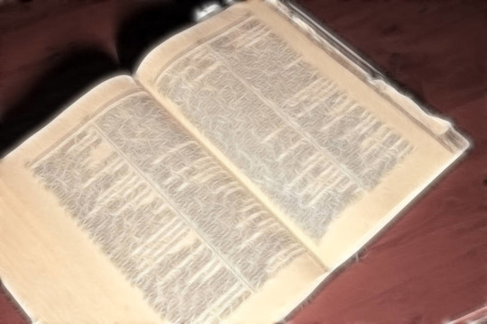 舊書的頁(yè)數(shù)