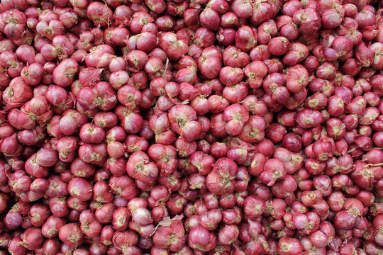紅洋蔥的數(shù)量