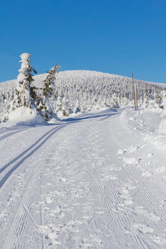 山地滑雪風(fēng)景與越野滑雪方式