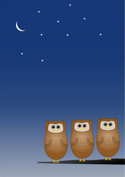 貓頭鷹在夜間